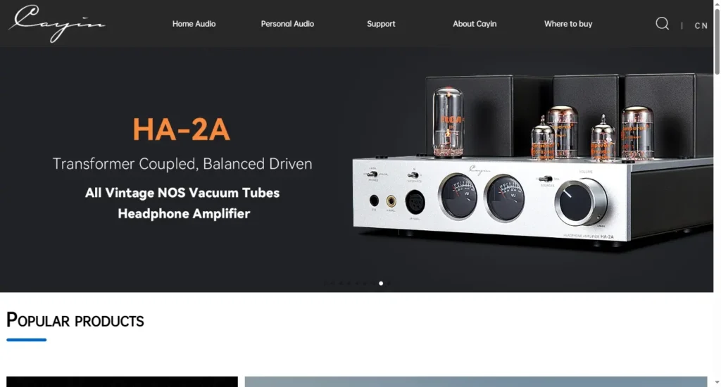 Ultimate Showdown: Top Lossless Music Players Brands 2025 6 Cayin