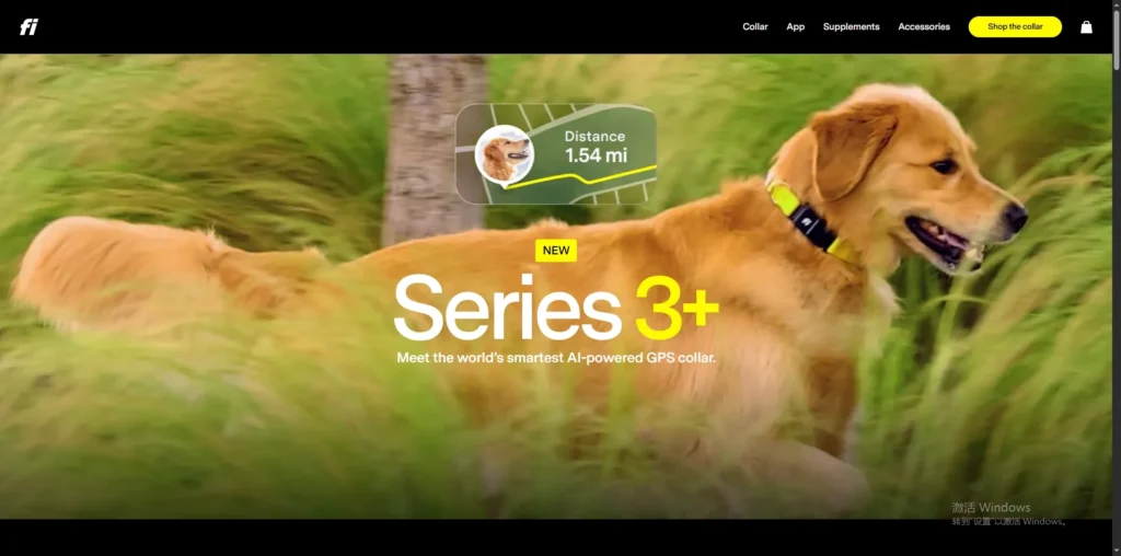 Top 10 GPS Pet Tracker Brands in 2025: Keeping Your Pet Safe and Sound 3 Fi Smart Dog Collar