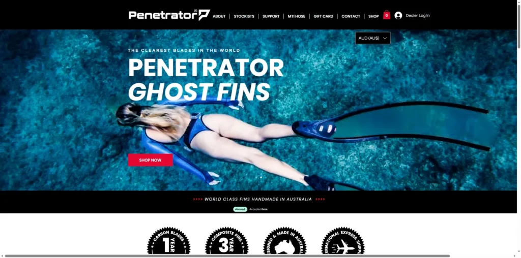 Penetrator Fins