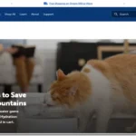 PetSafe – Reliable Cat Fountain Filters for Everyday Use