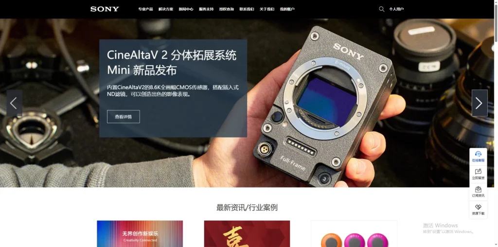 Sony