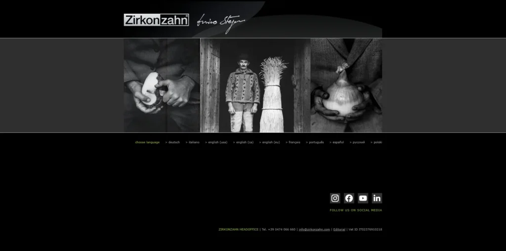 Zirkonzahn ICE
