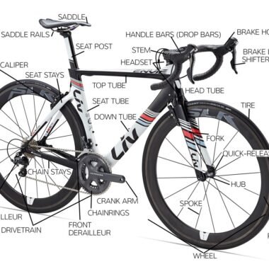 Ultimate Showdown: Top Lossless Music Players Brands 2025